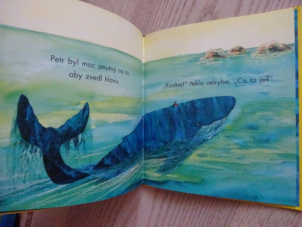 PAPUCHALK PETR, PETR HORÁČEK - AUTOGRAM, **an