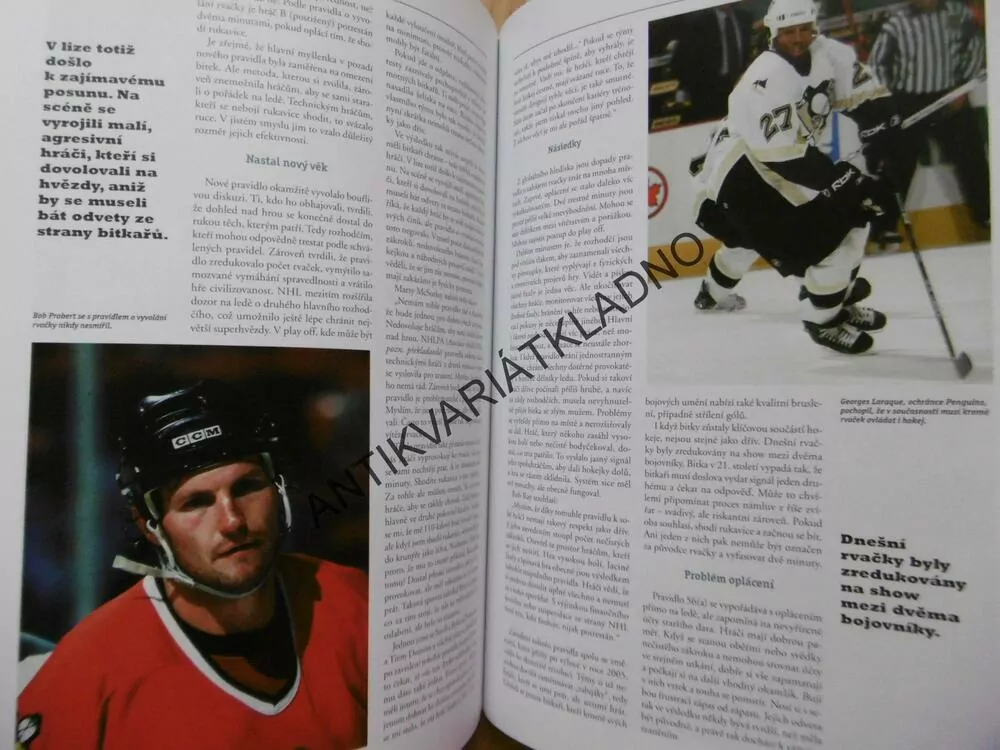 BITKAŘSKÝ KODEX, NEPSANÁ PRAVIDLA BITEK V NHL, HOKEJ,