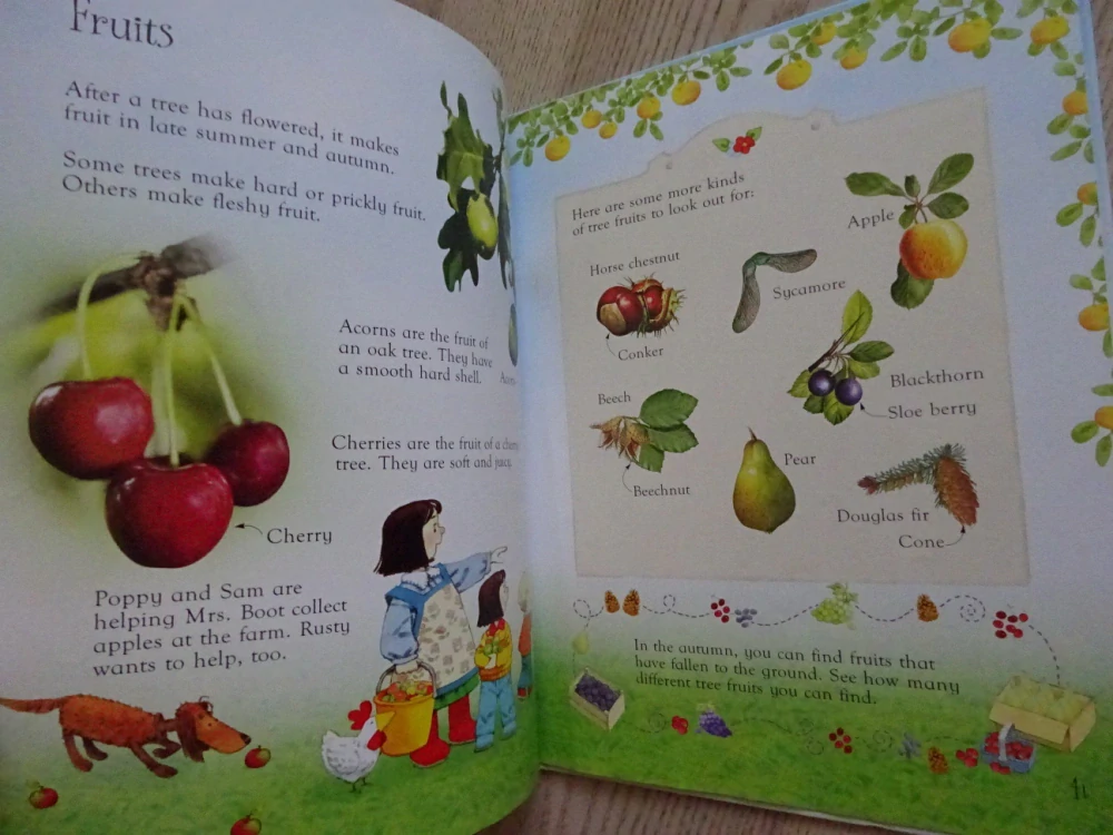 FIRST NATURE BOOK, ANGLICKY, **an