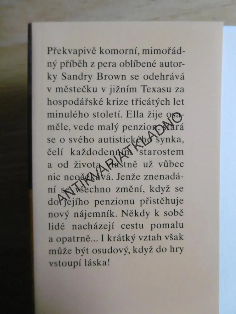 TICHÝ MUŽ, SANDRA BROWN, **an