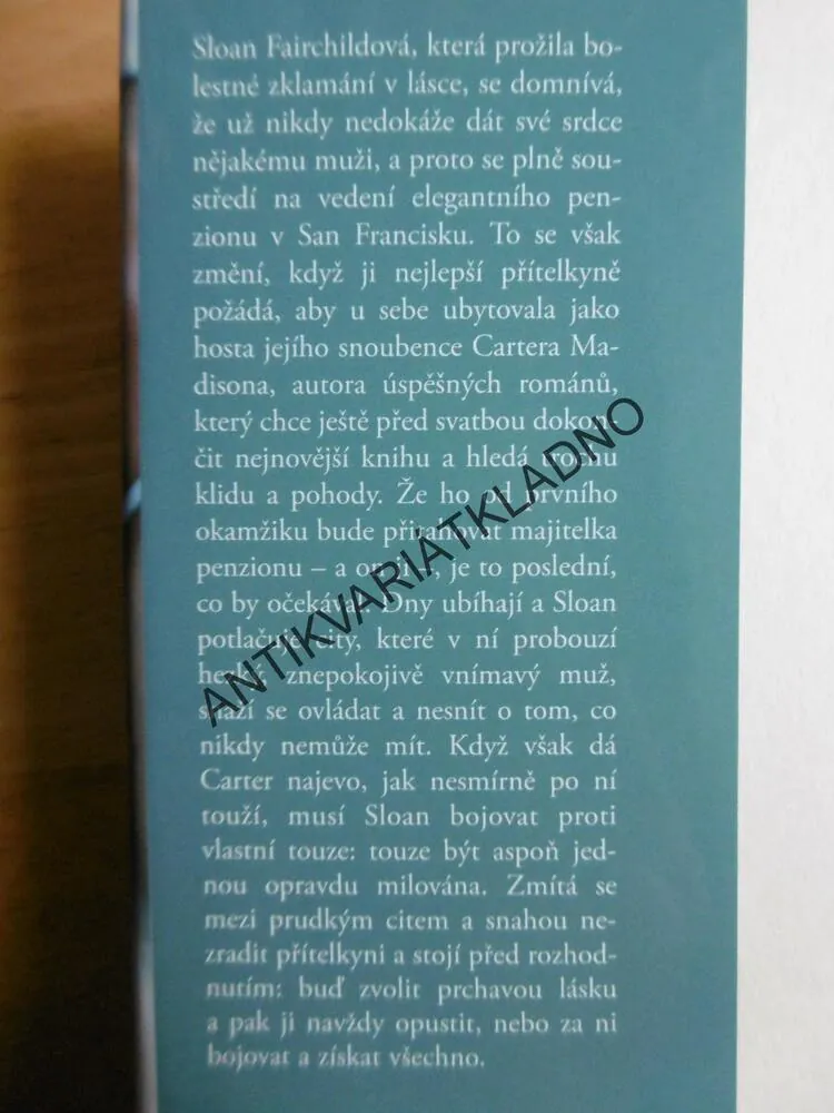 SNÍDANĚ V POSTELI, SANDRA BROWN, **an