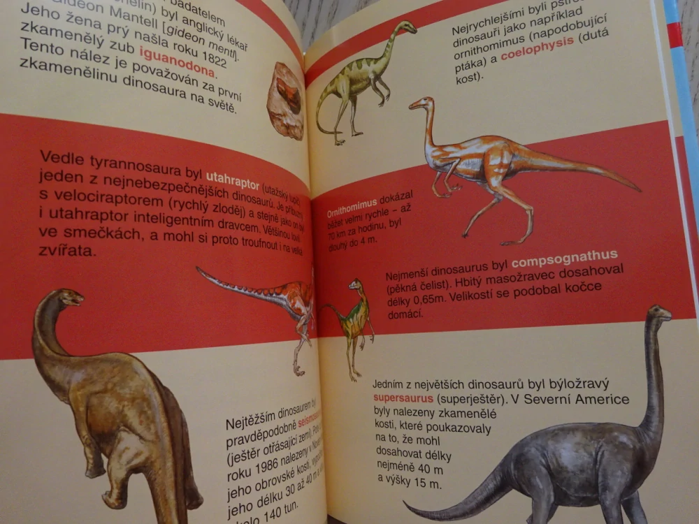 DINOSAUŘI, INSA BAUEROVÁ, **an