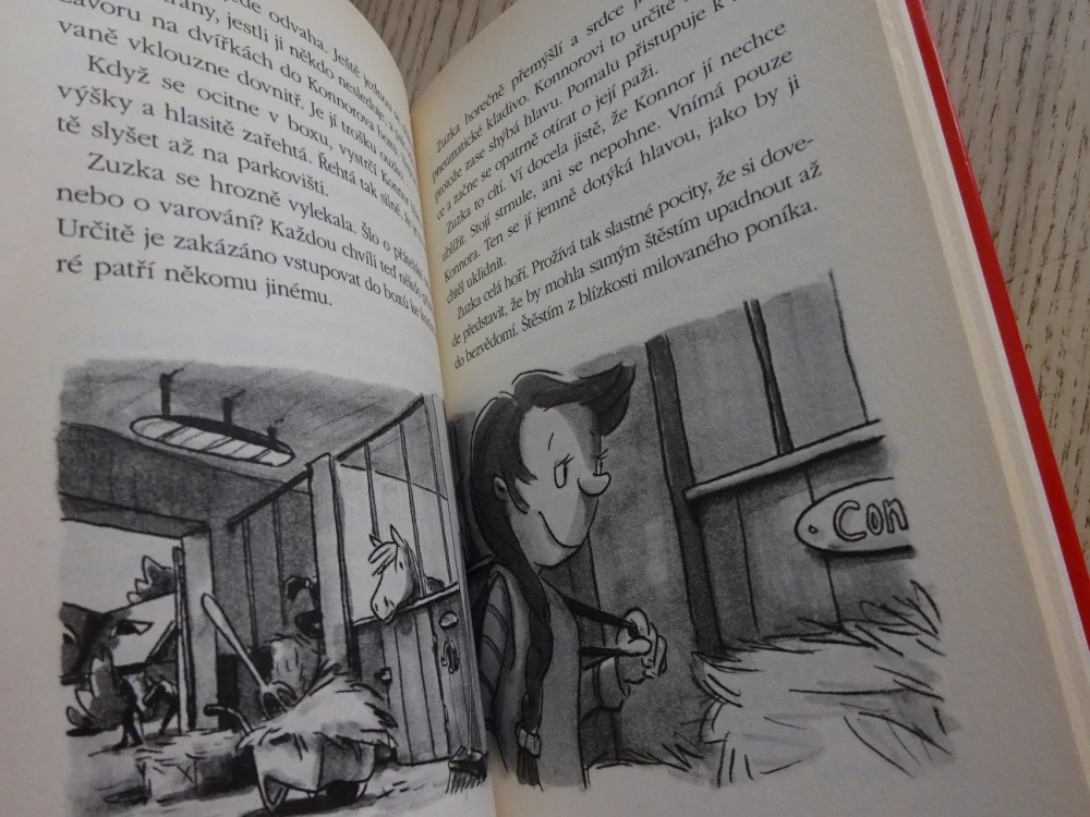 VYSNĚNÝ PONÍK, ZUZKA A PONÍCI, DAGMAR H. MUELLEROVÁ, **an