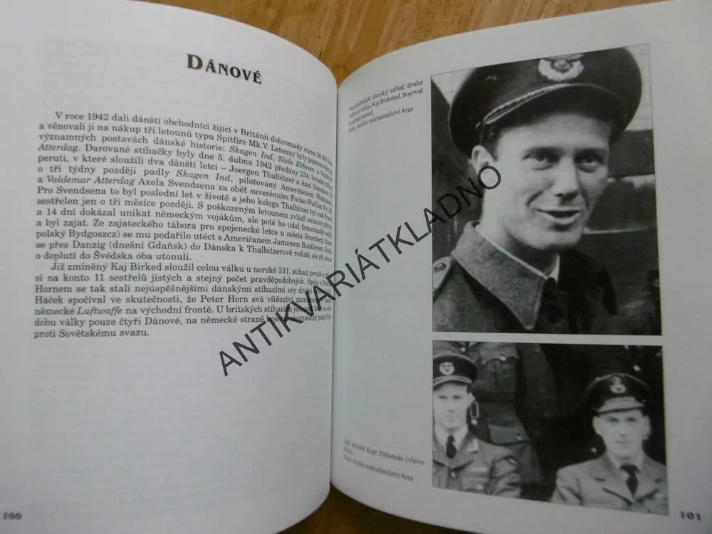 CIZINCI V RAF, STÍHAČI Z OKUPOVANÉ EVROPY V BITVĚ O BRITÁNII, JAN MICHL