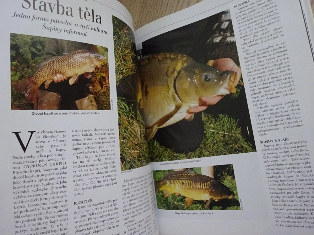 JAK SE LOVÍ KAPR, **an