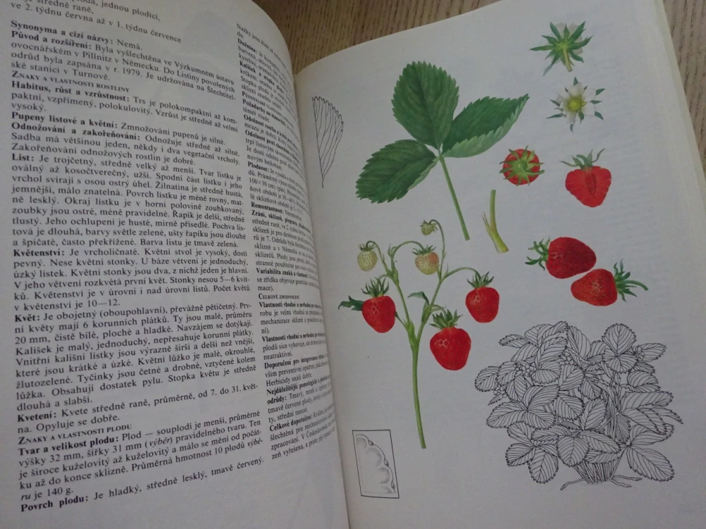 POMOLOGICKÝ ATLAS 2, JOSEF KUTINA A KOLEKTIV, **an