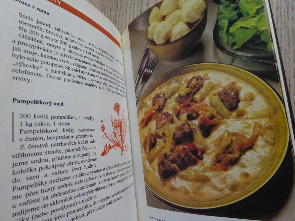 ZAVAŘUJEME OVOCE, ZELENINU A HOUBY, LIBUŠE VLACHOVÁ, **an