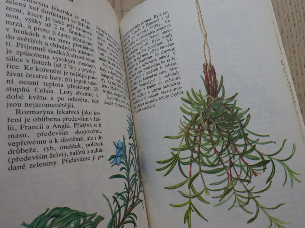 NAŠE A CIZÍ KOŘENÍ, JIŘINA KAPLICKÁ, JAN KYBAL, **an