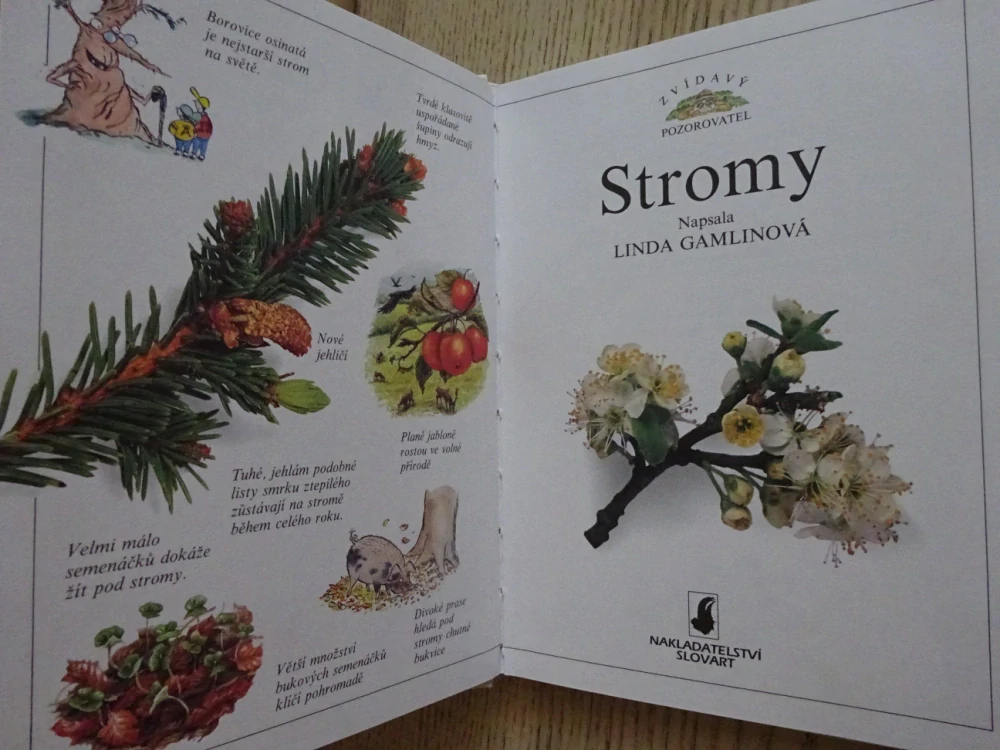 STROMY, ZVÍDAVÝ POZOROVATEL, **an