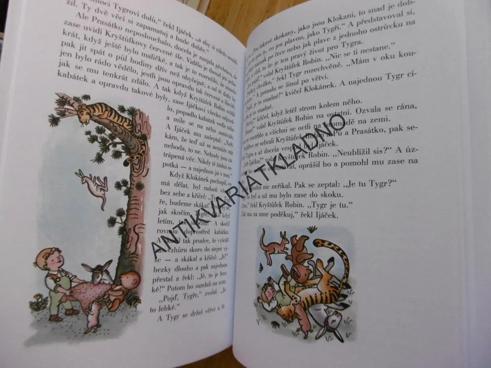 MEDVÍDEK PÚ, A.A.MILNE, ZÁPAL