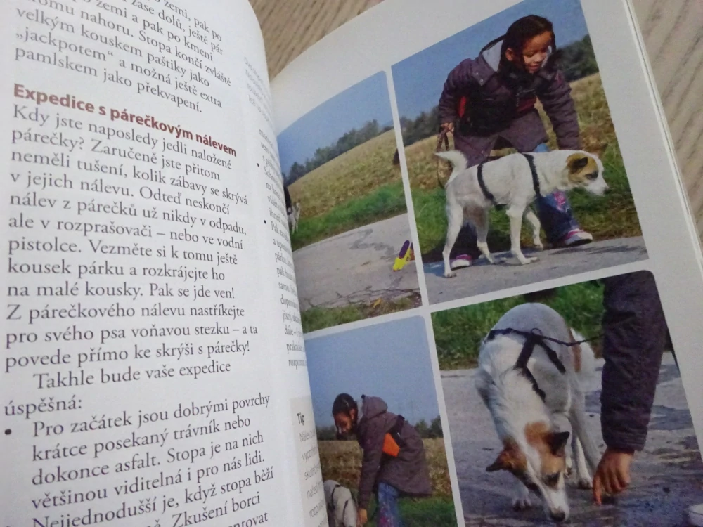 JAK ZABAVIT PSA, ABY SE NENUDIL, CHRISTINA SONDERMANN, **an