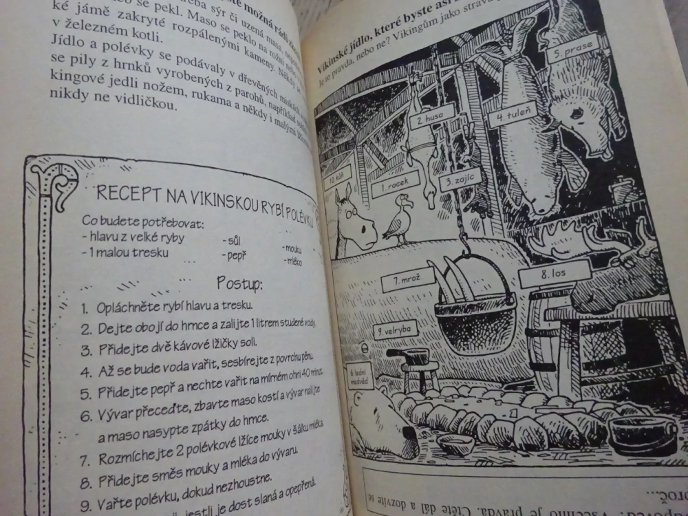 DAREBNÍ VIKINGOVÉ, TERRY DEARY, MARTIN BROWN, **an