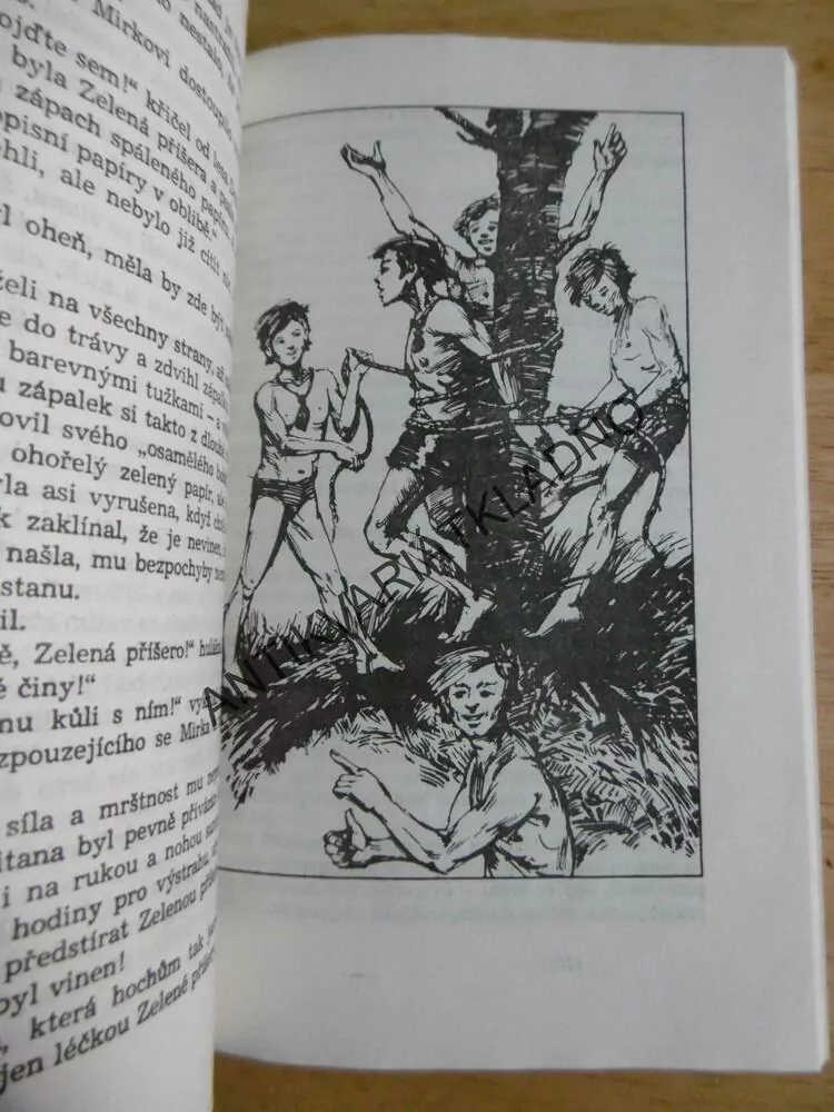 HOŠI OD BOBŘÍ ŘEKY, FOGLAR, **an