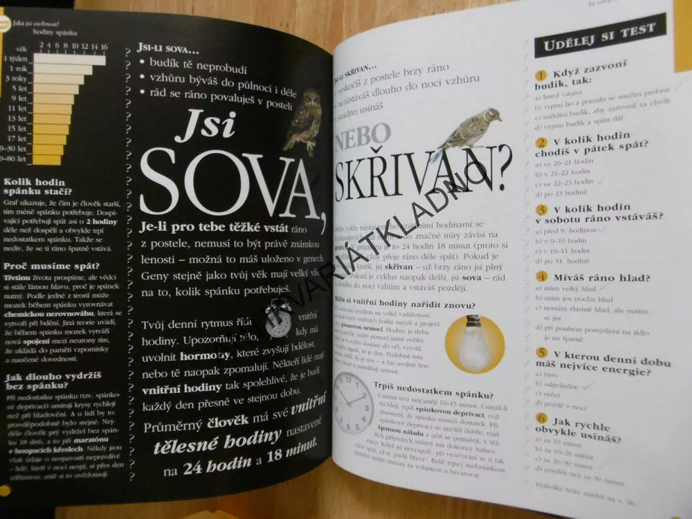 CO DĚLÁ TEBE TEBOU? WINSTON