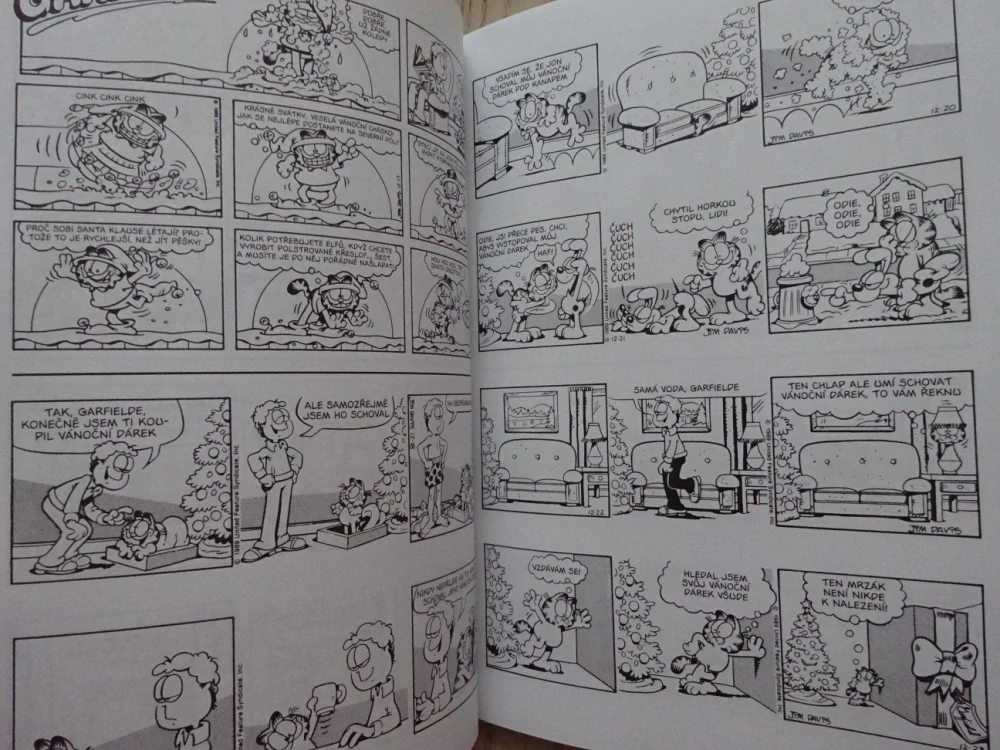 GARFIELD MÍSTO NA SLUNCI, JIM DAVIS, **an