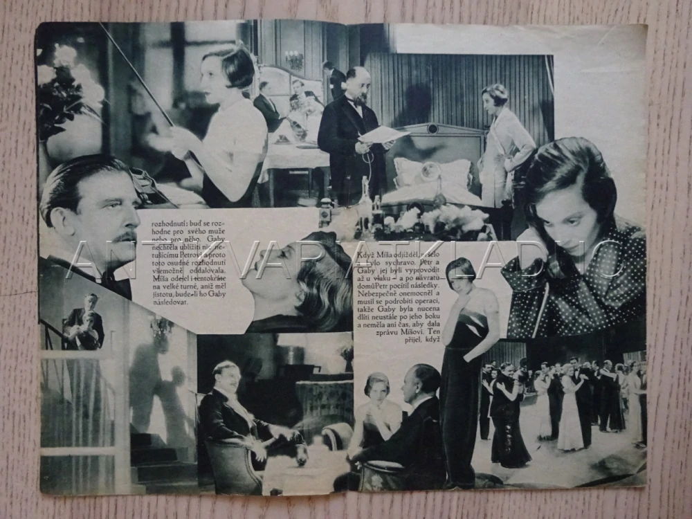 ZASNĚNÉ RTY, A. BERGNEROVÁ, BIO PROGRAM Č. 1, 1933