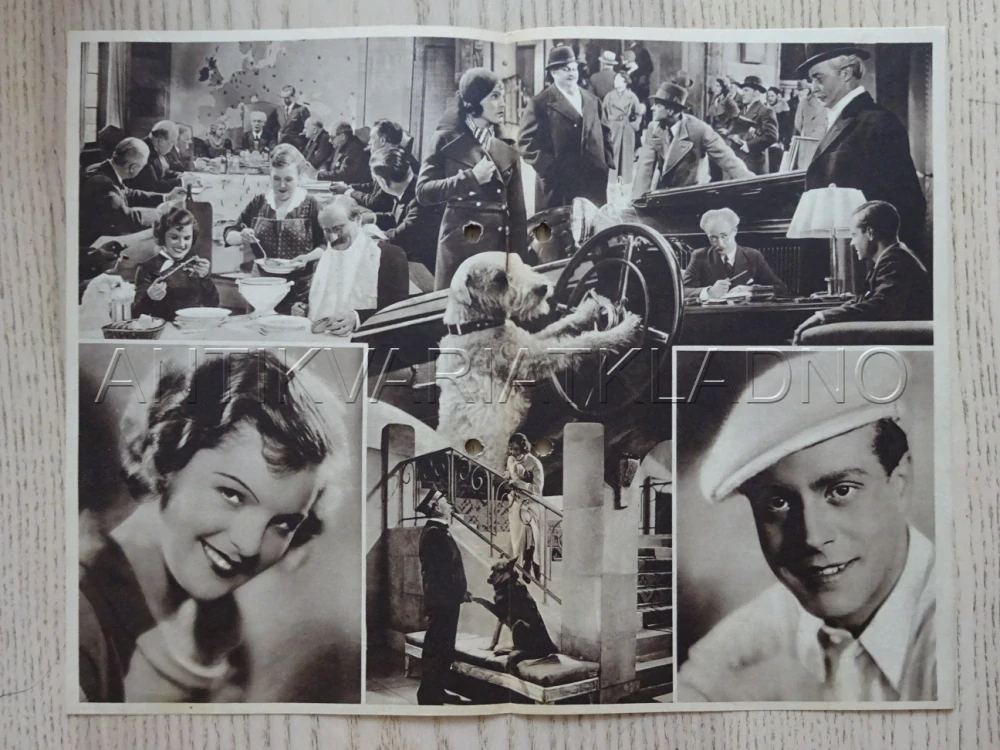 AMOR NA PROVÁZKU, M. SCHNEIDER, BIO PROGRAM Č. 66, 1933