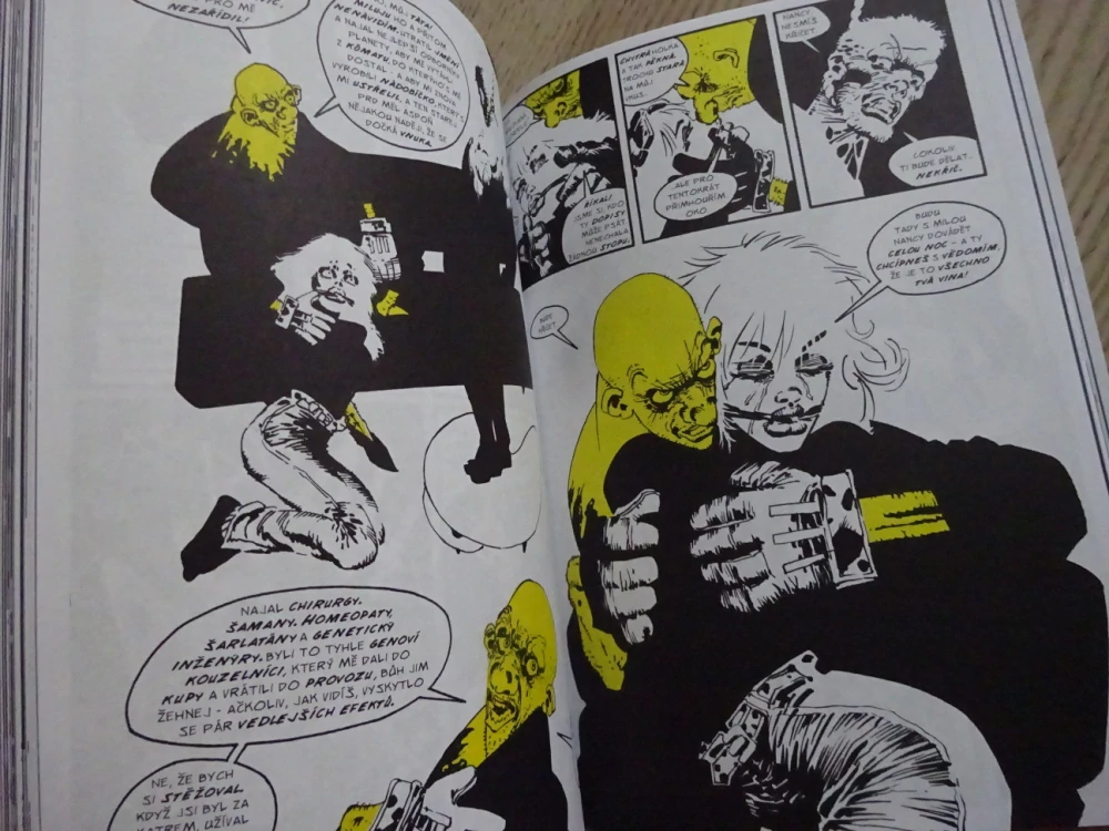 TEN ŽLUTEJ PARCHANT, PŘÍBĚH ZE SIN CITY, FRANK MILLER, **an