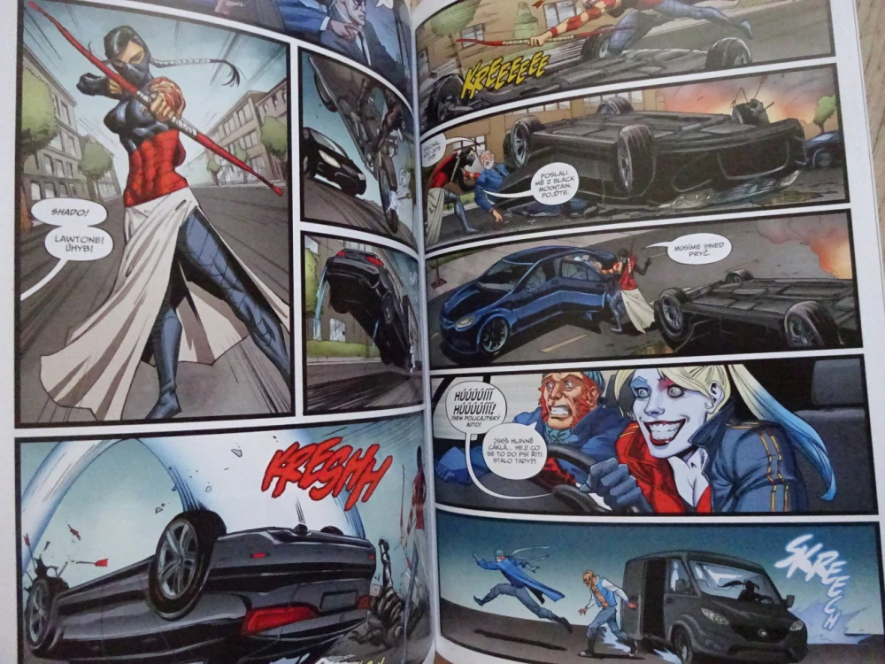 SEBEVRAŽEDNÝ ODDÍL, VYPÁLIT DO ZÁKLADŮ, KOMIKS DC COMICS, **an