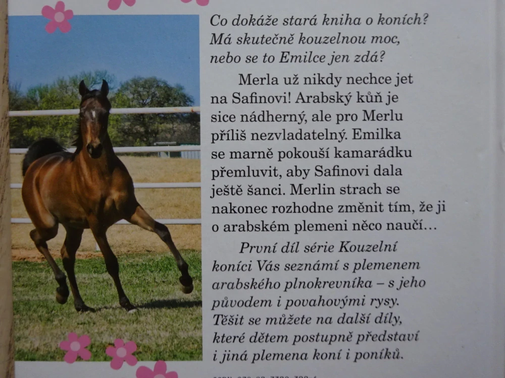 LEŤ S VĚTREM O ZÁVOD, SAFINO, KOUZELNÍ KONÍCI, PEGGY WALKEROVÁ, **an