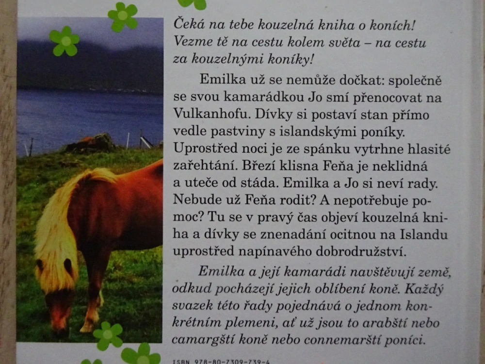 FEŇA ZACHRAŇUJE SVÉ HŘÍBÁTKO, KOUZELNÍ KONÍCI, PEGGY WALKEROVÁ, **an