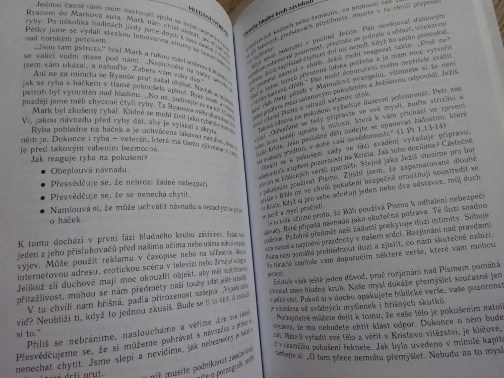 MUŽI A SEXUÁLNÍ POKUŠENÍ, BILL PERKINS, **an