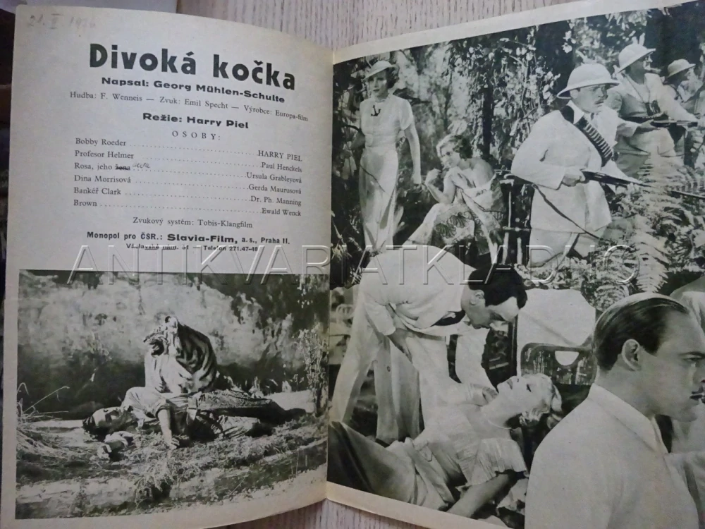 DIVOKÁ KOČKA, H. PIEL, BIO PROGRAM Č. 335, 1936