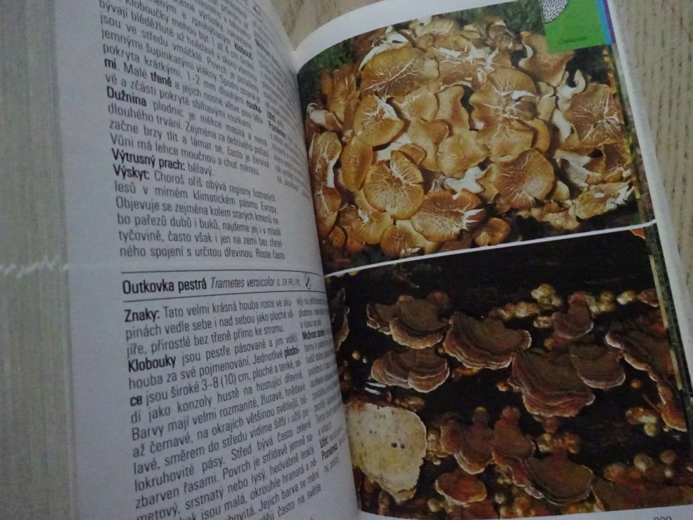 HOUBY, PRŮVODCE PŘÍRODOU, **an