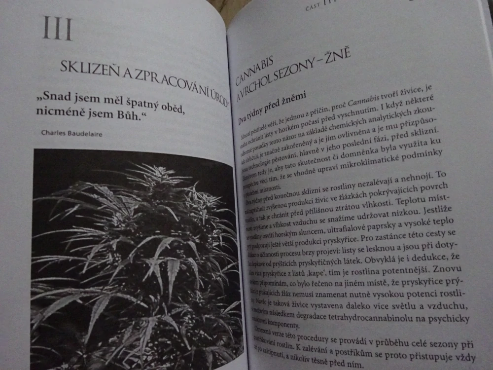 KNIHA O MARIHUANĚ, MARIHUANA, LIBOR DUPAL, KVĚTINA, ROSTLINY, **an