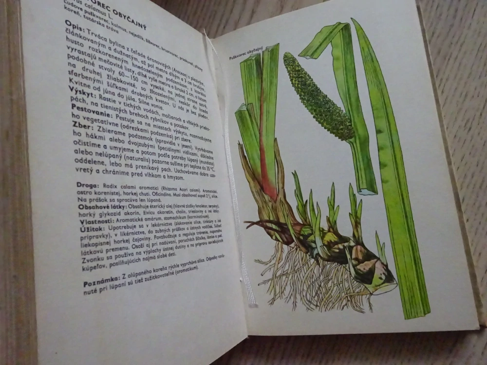 MALÝ ATLAS LIEČIVÝCH RASTLÍN, L. THURZOVÁ S KOLEKTIVOM, **an