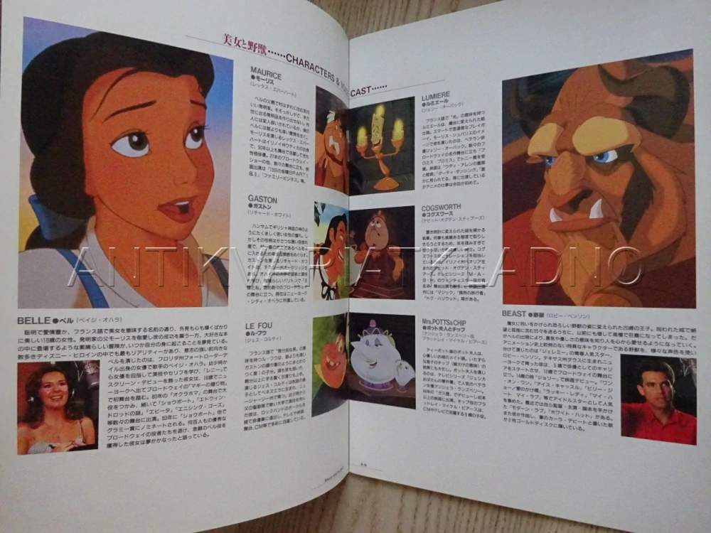 KRÁSKA A ZVÍŘE, DISNEY, JAPONSKY, PROGRAM