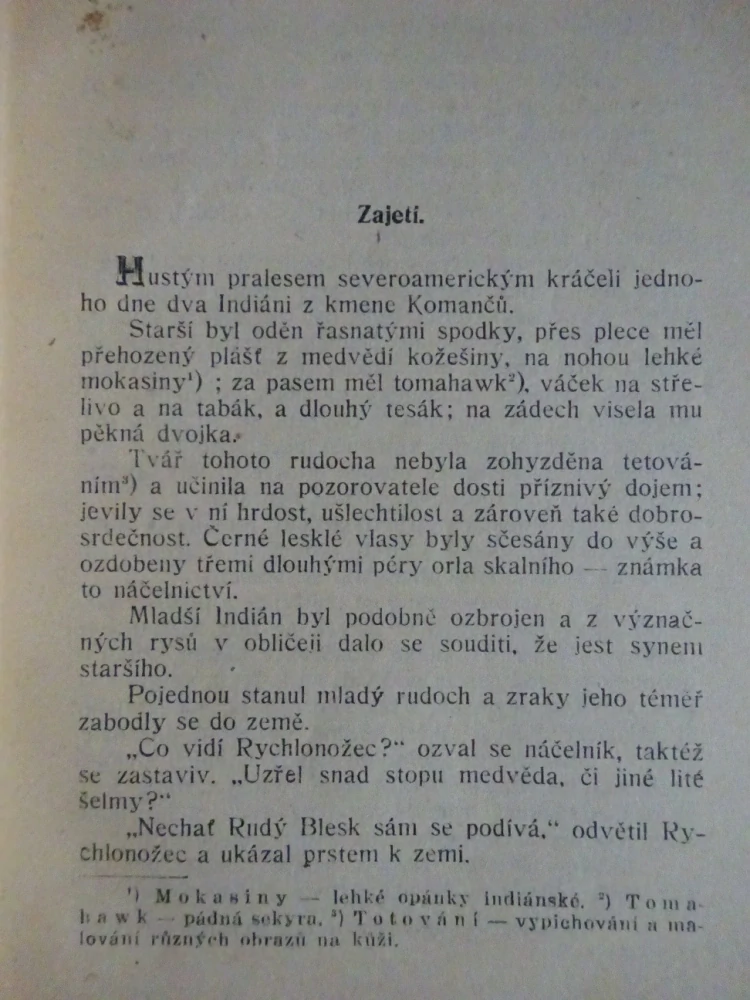 STATEČNÝ SYN POHLAVÁRŮV, WESTERN