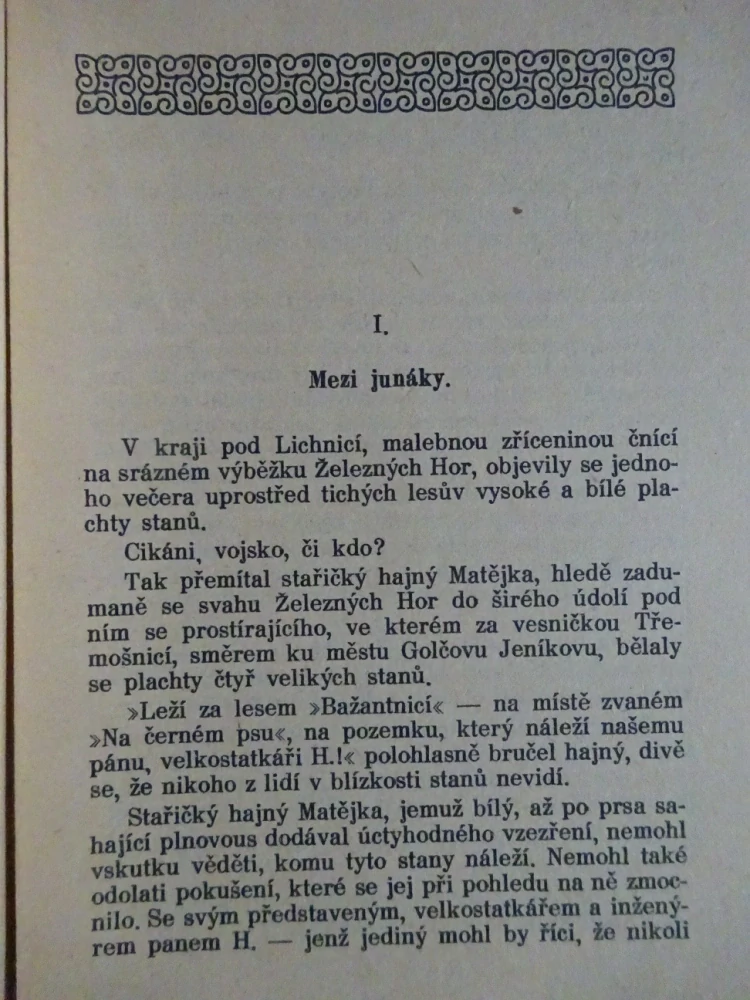 TAJEMNÝ HOST, SKAUT