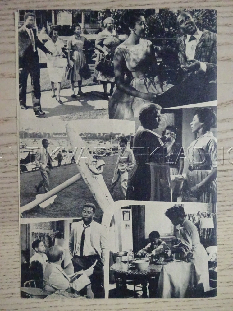 A RAISIN IN THE SUN, S. POITIER, NĚMECKY, BIO PROGRAM