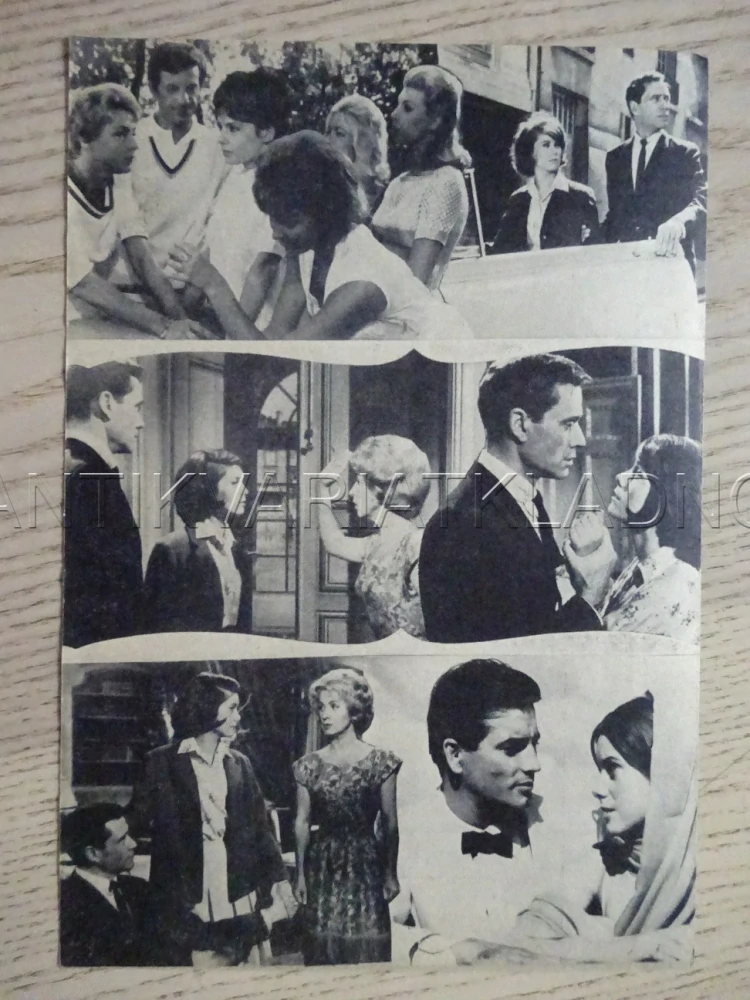 L'HOMME A FEMMES, P. BRICE, C. DENEUVE, NĚMECKY, BIO PROGRAM