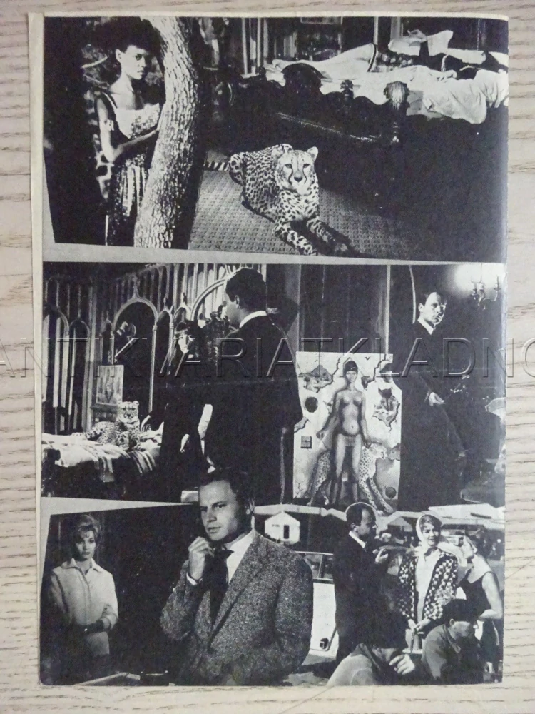 MALÉFICES, J. GRÉCO, NĚMECKY, BIO PROGRAM