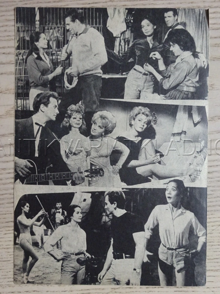 THE MAIN ATTRACTION, N. KWAN, NĚMECKY, BIO PROGRAM