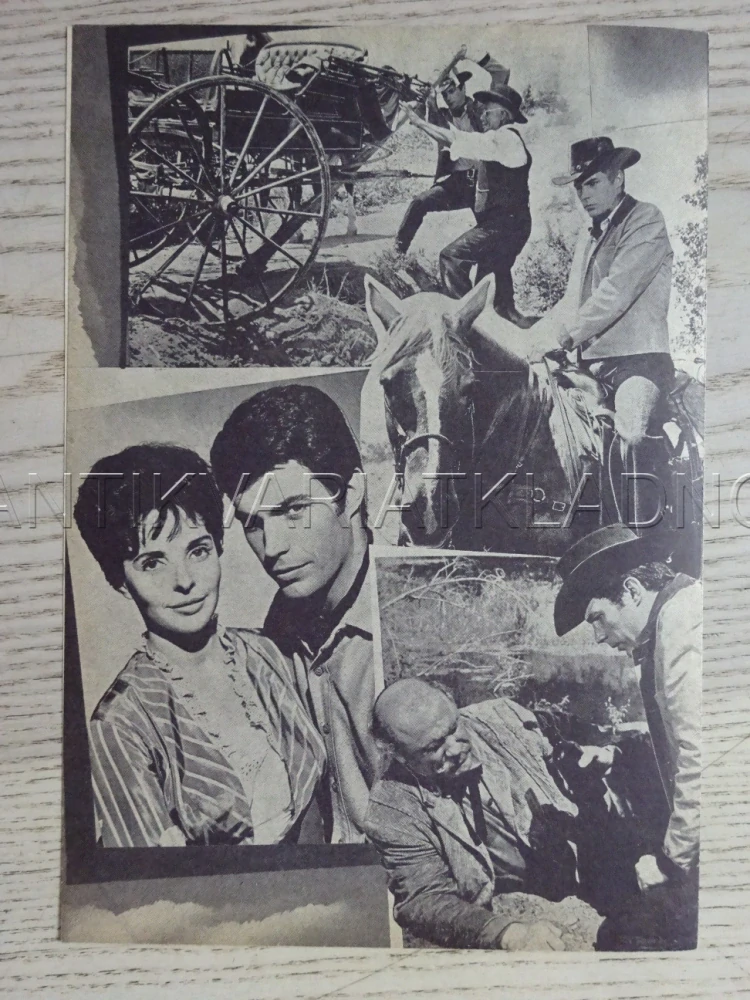 THE RIDES TALL, T. YOUNG, NĚMECKY, BIO PROGRAM