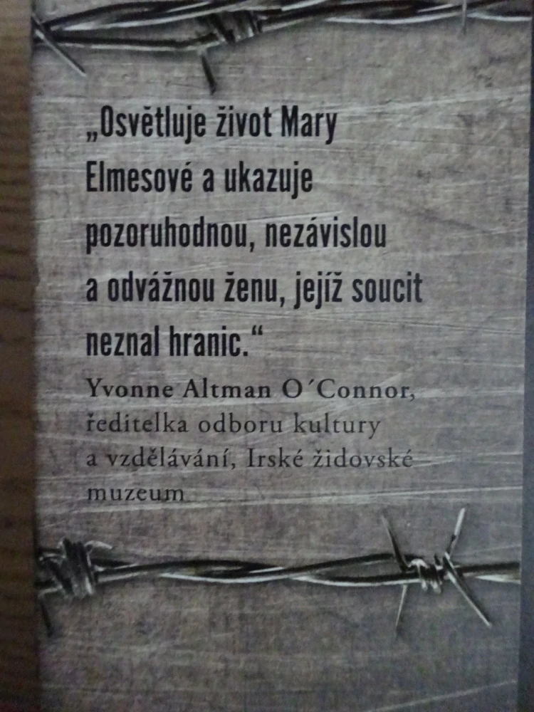 ČAS RISKOVAT VŠECHNO, CLODAGH FINNOVÁ, **an