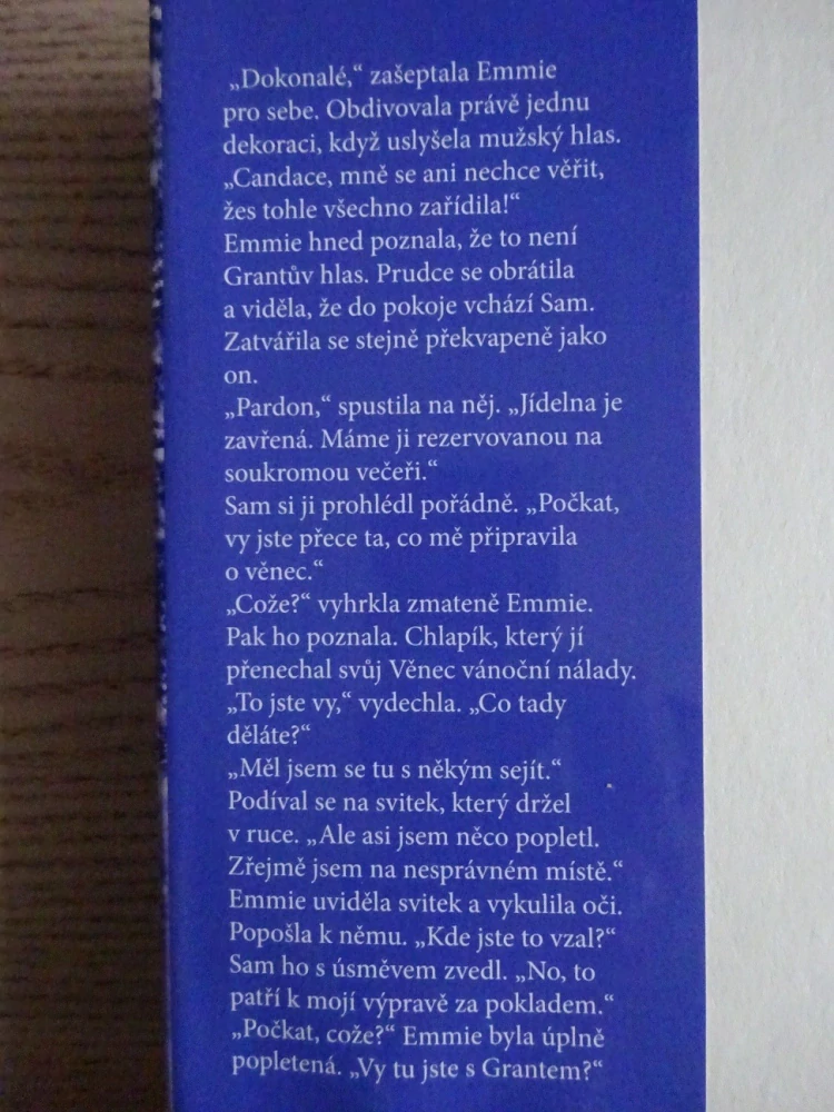 JAK SI ZAMILOVAT VÁNOCE, KAREN SCHALER, **an