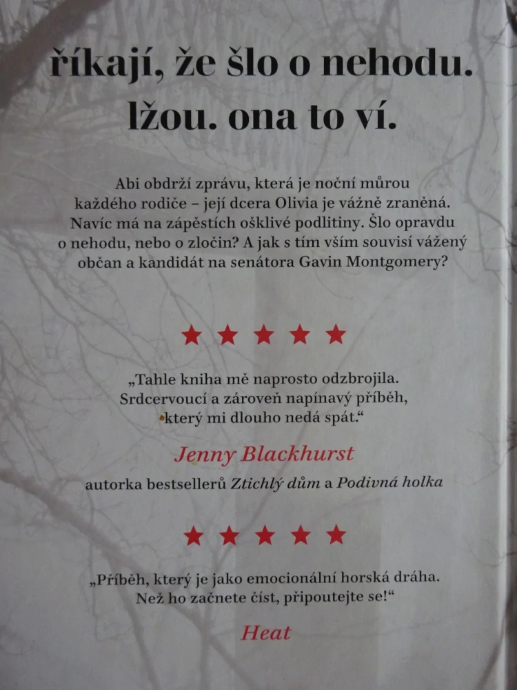 OSUDNÝ PÁD, CHRISTINA MCDONALD, **an