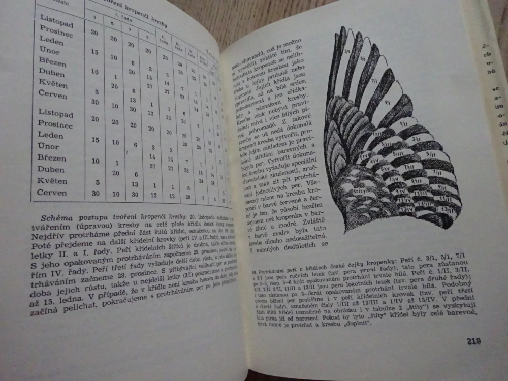CHOV HOLUBŮ, BUREŠ A KOL., **an