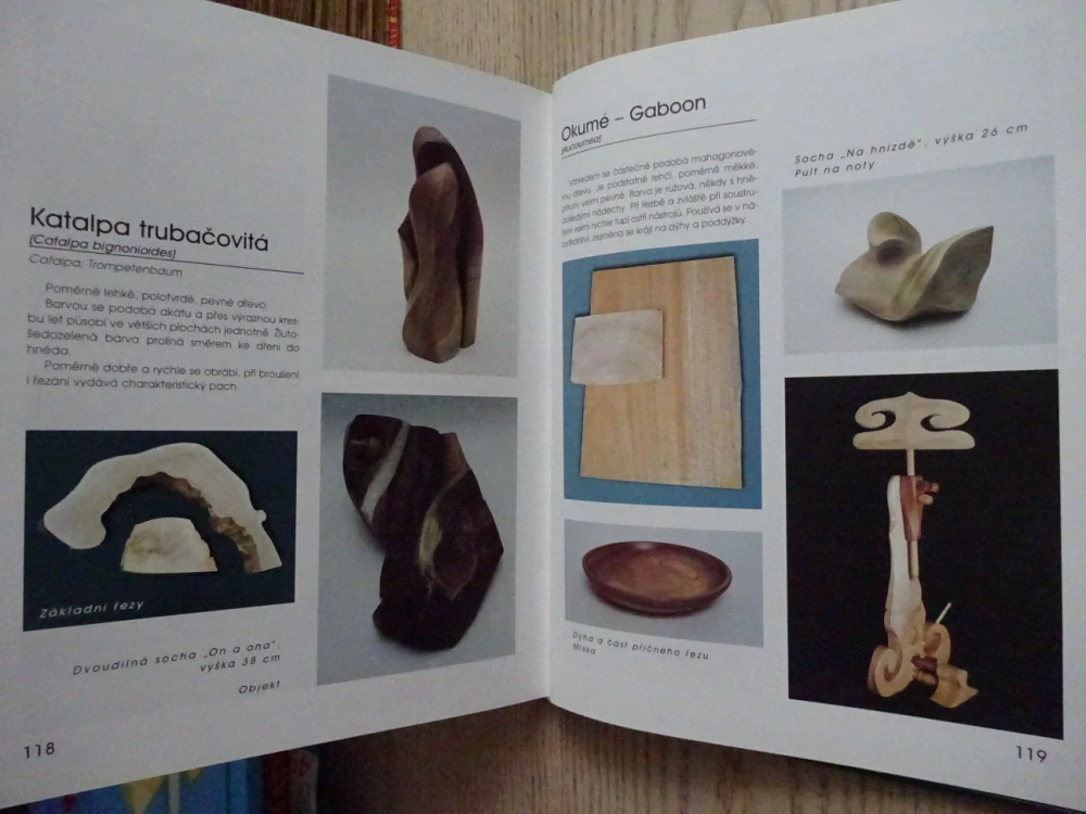 DŘEVO KRÁSNÝCH STROMŮ, MARTIN PATŘIČNÝ, **an