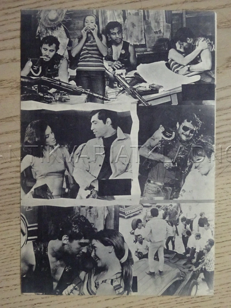 THE WILD REBELS, S. ALAIMO, NĚMECKY, BIO PROGRAM