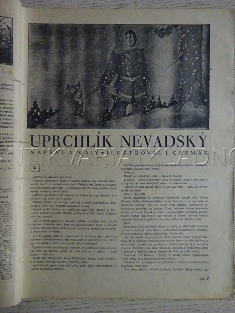 RODOKAPS Č. 254, V. ROČNÍK, UPRCHLÍK NEVADSKÝ