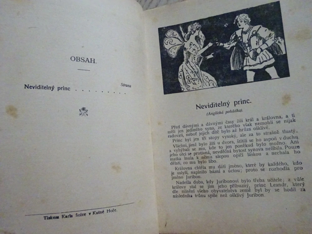NEVIDITELNÝ PRINC A JINÉ, POHÁDKY Z CELÉHO SVĚTA SV. 13 (MNOHÉ FANTASY)