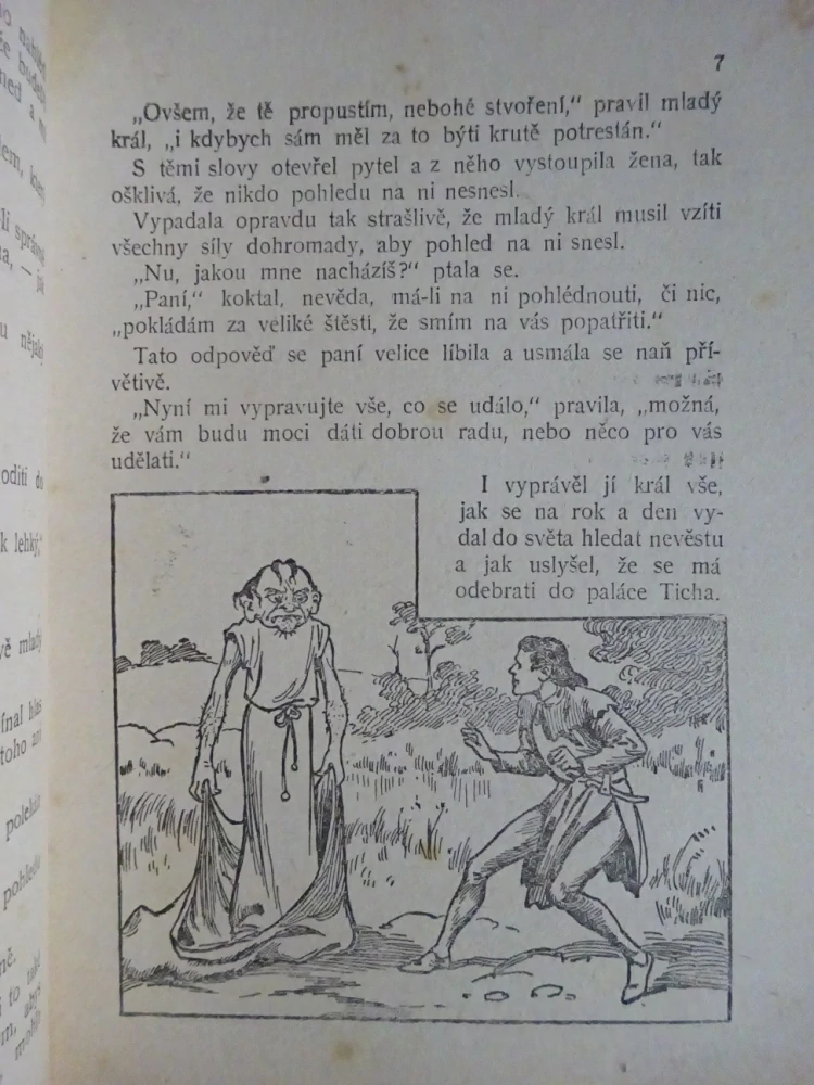 MLADÝ KRÁL IRSKÝ A JINÉ, POHÁDKY Z CELÉHO SVĚTA SV. 55 (MNOHÉ FANTASY)