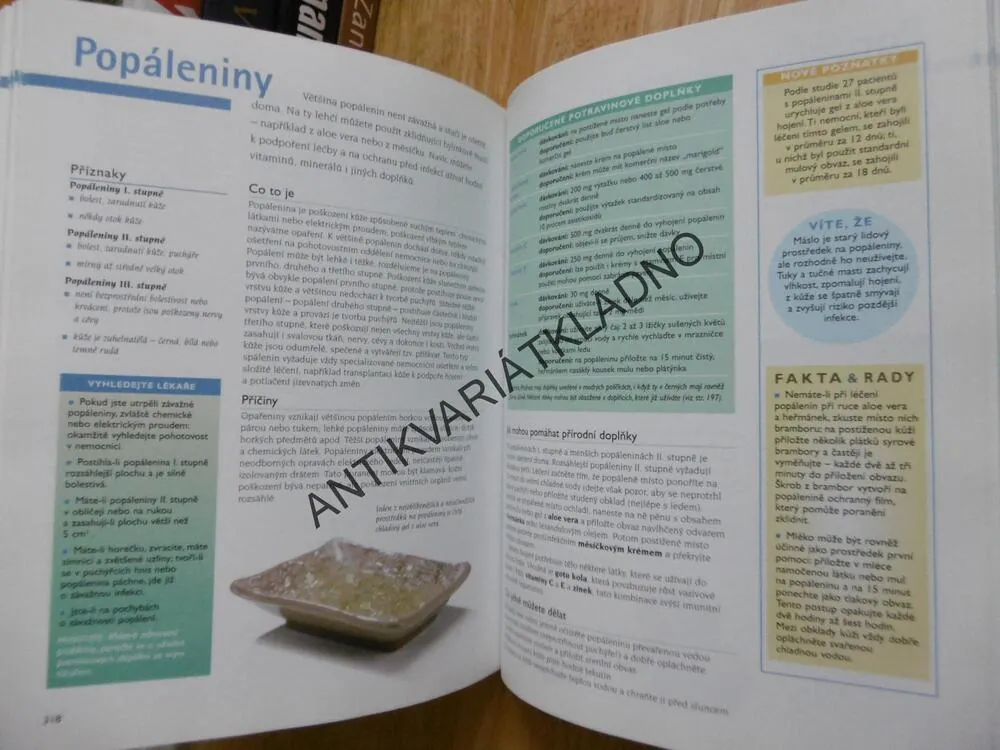 LÉČIVÁ MOC VITAMÍNŮ, BYLIN A MINERÁLNÍCH LÁTEK, **an