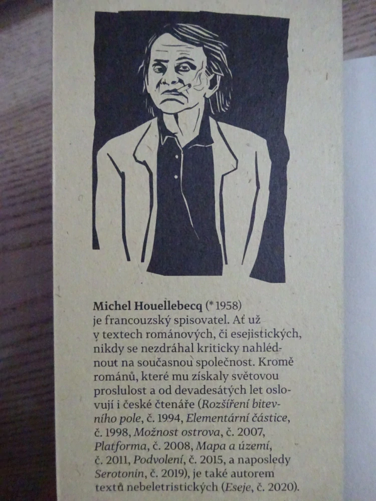 VEŘEJNÍ NEPŘÁTELÉ, MICHEL HOUELLEBECQ, BERNARD-HENRI LÉVY, **an