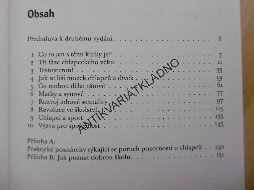 VÝCHOVA KLUKŮ, STEVE BIDDULPH,